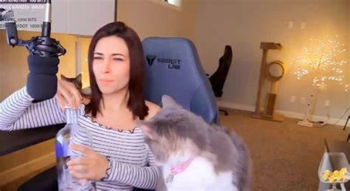 Alinity Divine Bio, Wiki, Age, Height, Twitch Gamer, Cat Throw and Net Worth