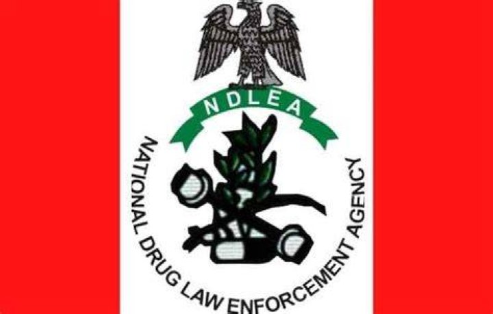 Full Meaning and Functions of NDLEA