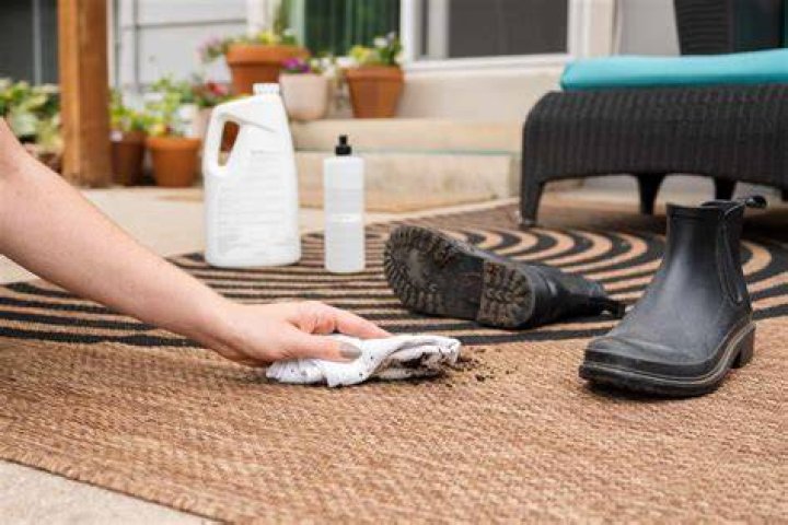 How to clean an indoor outdoor rug