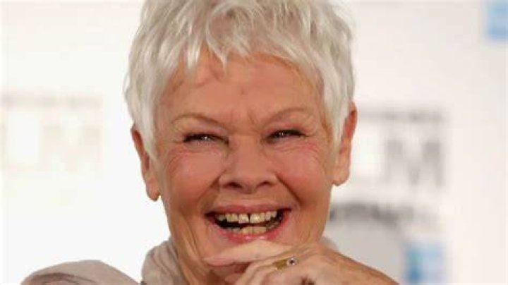 Judi Dench Missing Teeth, Before And After Photos On Twitter And Reddit