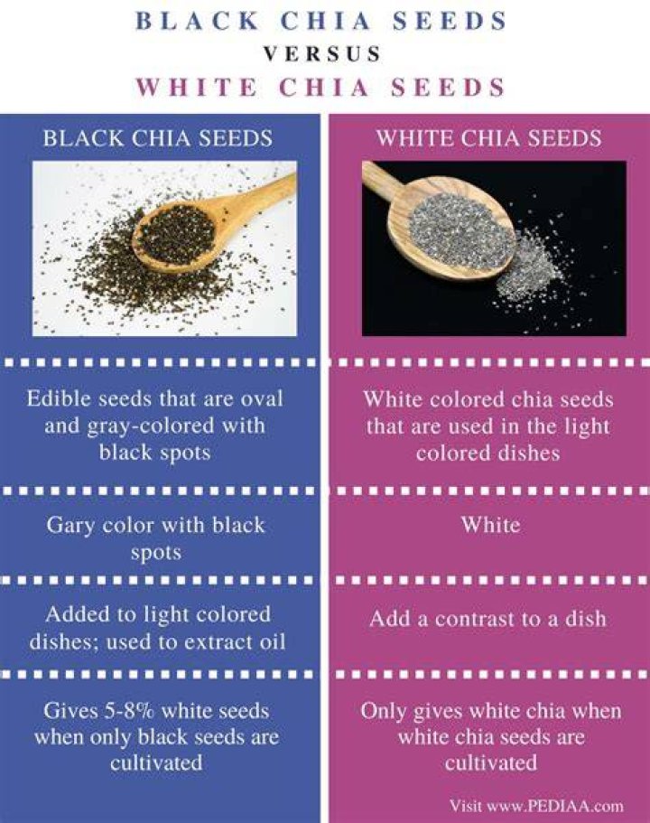 What is the Difference Between Black Chia Seeds and White Chia Seeds