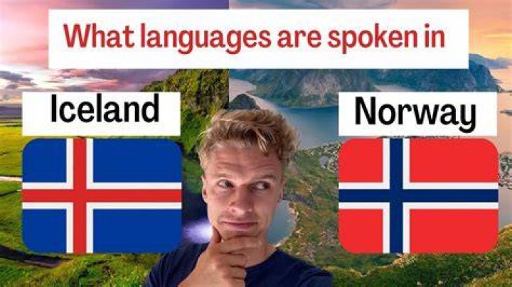 What language do they speak in lilyhammer