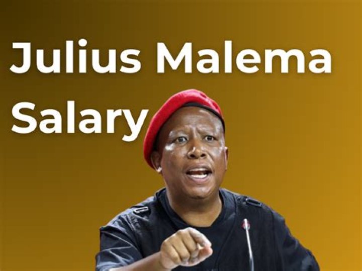 Who Is Julius Malema? Politician Wiki, Bio And Net Worth Details